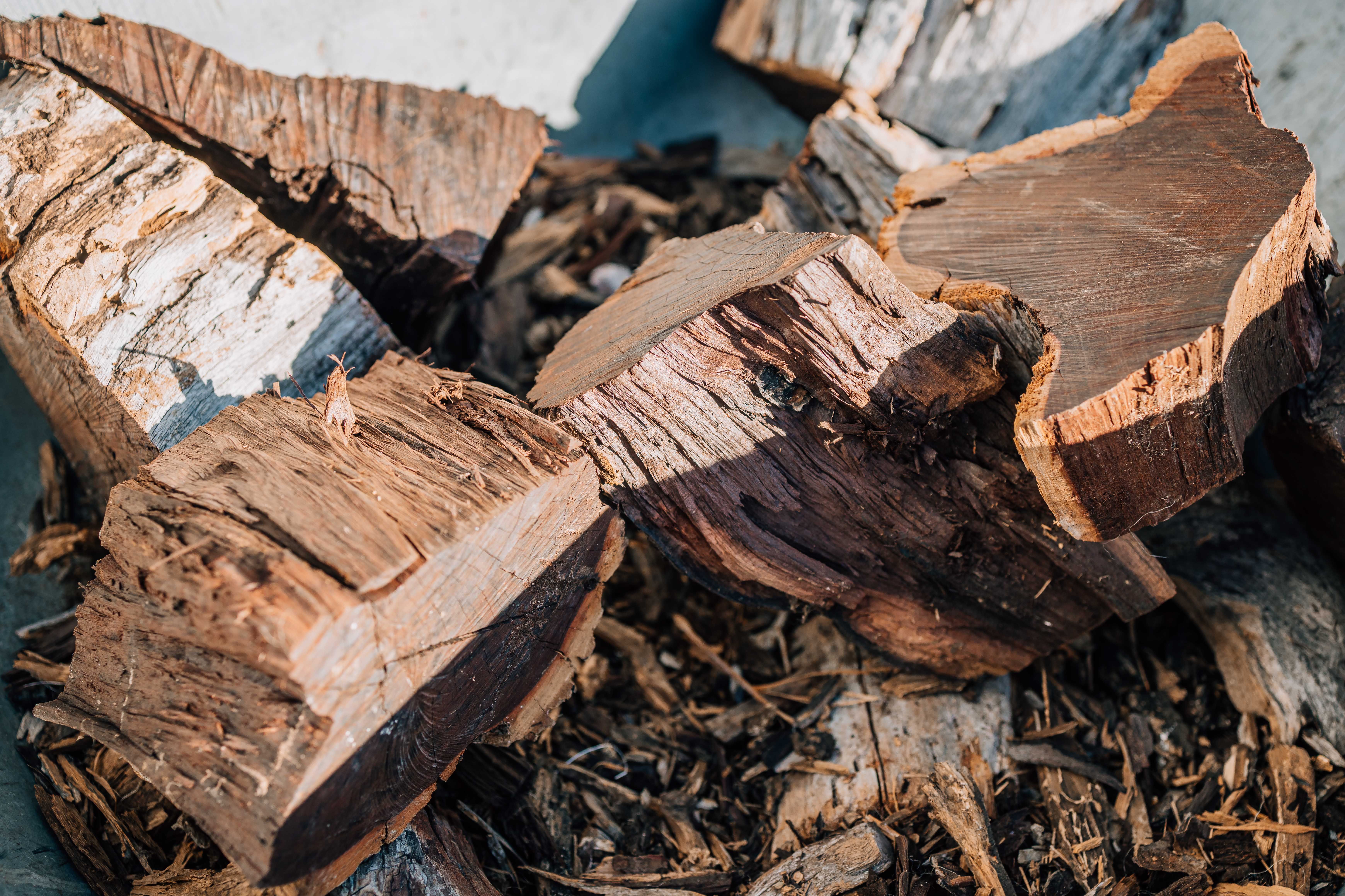 Holy Smoke Bonaire restaurant